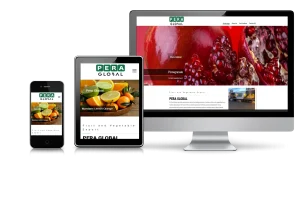Pera Global